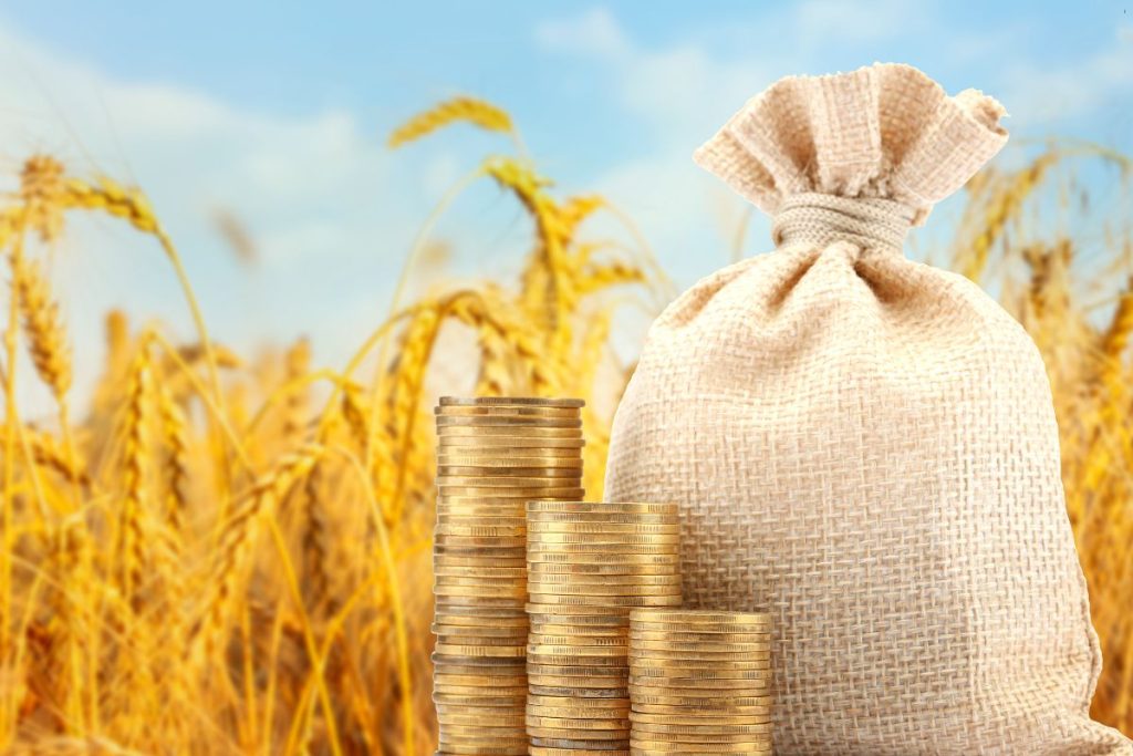 Zakładanie lokaty bankowej