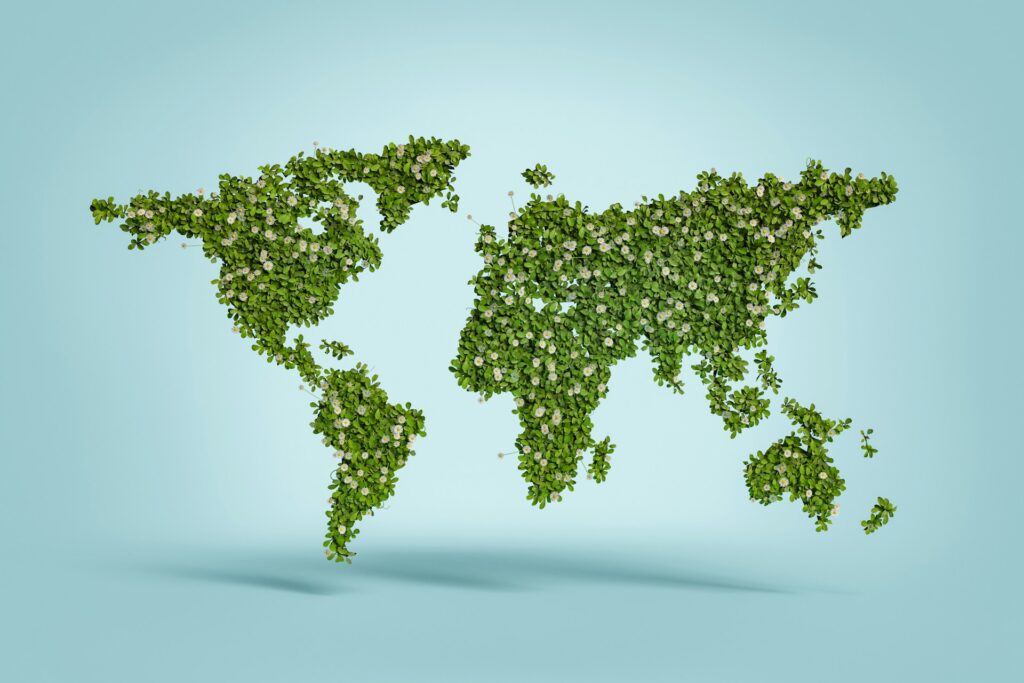 Globalizacja a lokalne rynki – szanse i zagrożenia