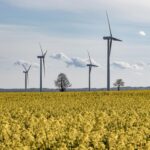 Błędy przy zaciąganiu kredytu ekologicznego